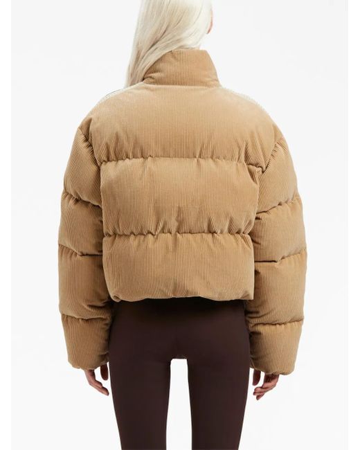 Palm Angels Natural Corduroy Crop Down Jacket