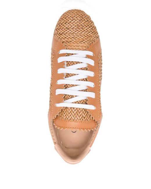 Sneakers Nexus Hanoi Con Suola Rialzata di Casadei in Brown
