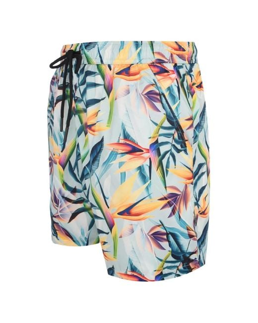 Mauna Kea Blue Printed Shorts for men