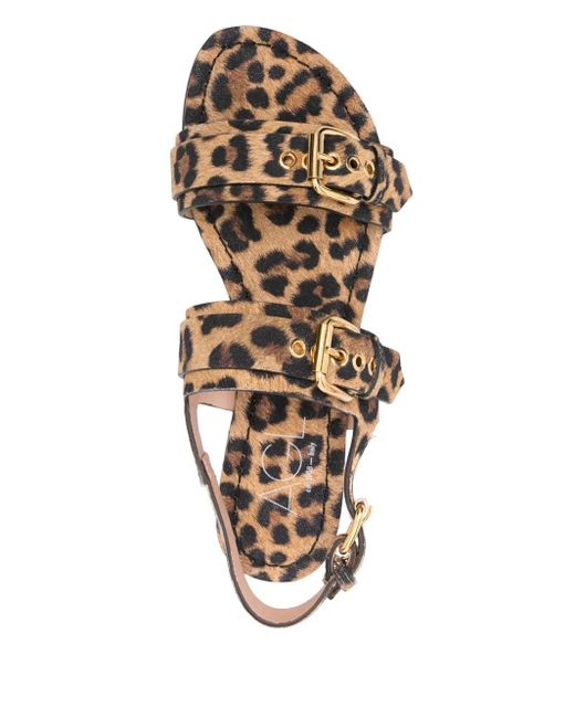 Sandali Summer Multi Buckles di Agl Attilio Giusti Leombruni in Multicolor