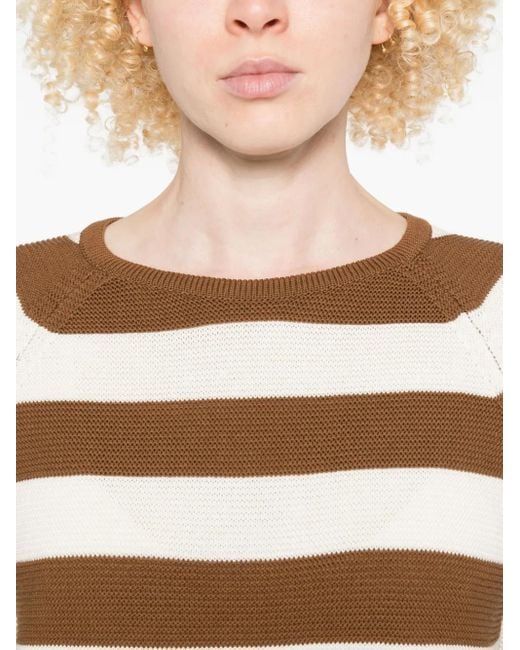 Max Mara Gestreepte Trui Met Raglan Mouwen in het Brown