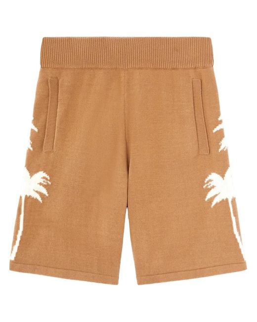 Palm Angels Natural Palm Tree Knitted Shorts for men