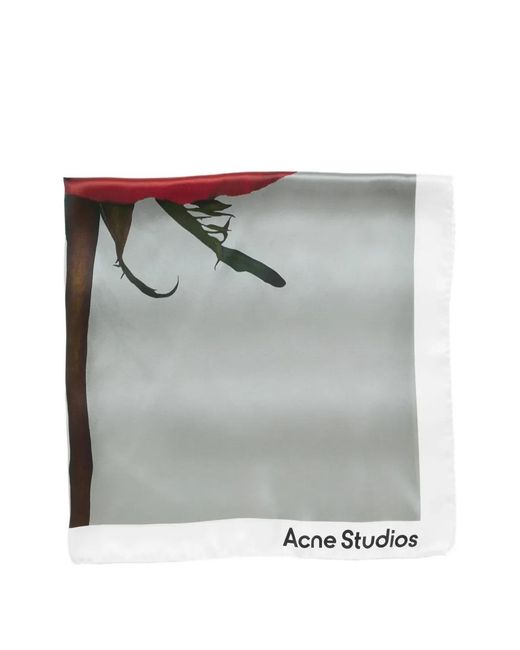Acne Gray Rose-Print Silk Scarf