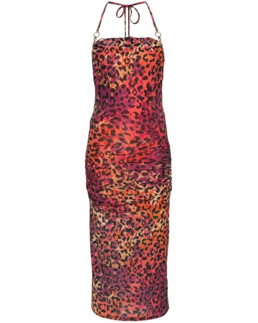 Just Cavalli Red Leopard-print Ruched Midi Dress