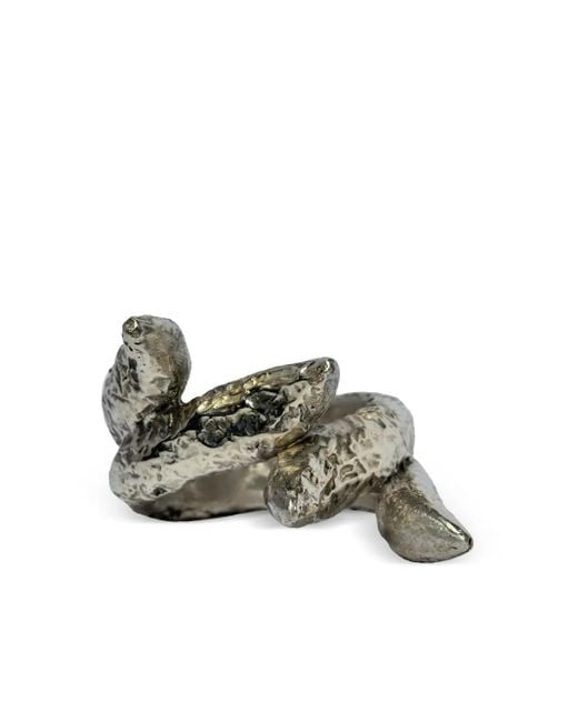 Parts Of 4 Metallic Tatius Ring