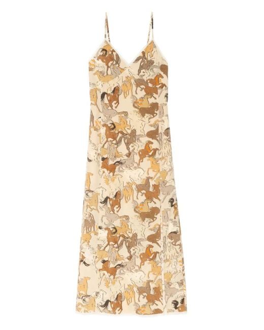 Dress Casual Short By Zadig And Voltaire In Leopard Print, Size: Xs