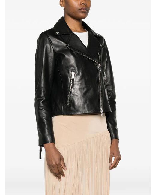 Bully Black Zip Lambskin Jacket
