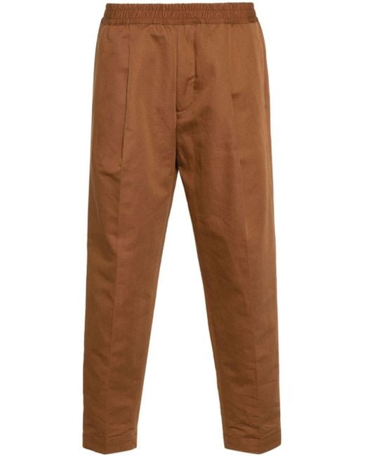 Briglia 1949 Brown Savoys Tapered Trousers for men