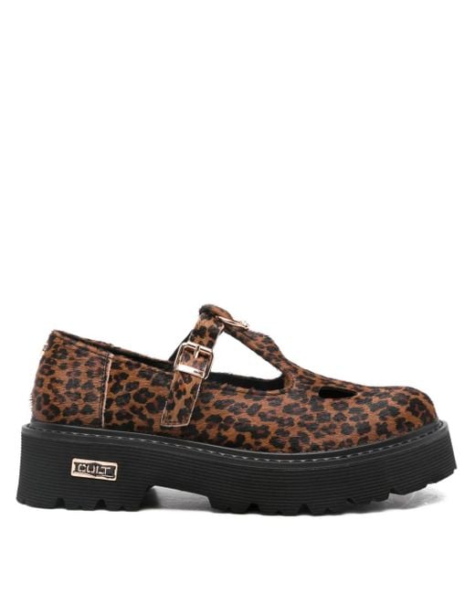 Cult Brown Leopard-Print Pumps