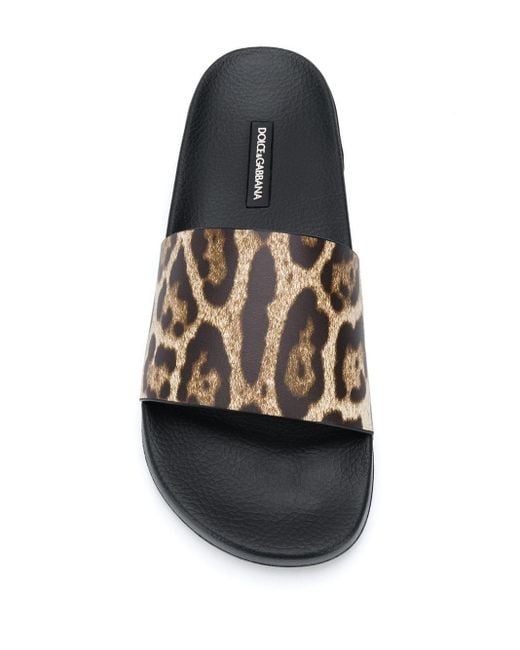 Dolce and gabbana leopard slides hotsell