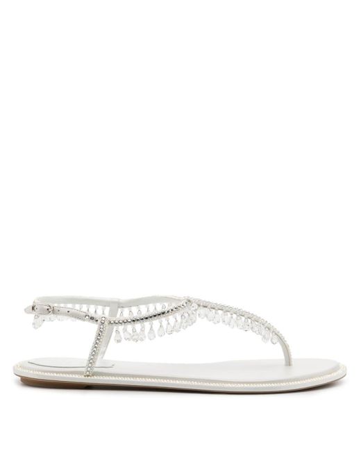 Rene Caovilla White Crystal-embellished Sandals