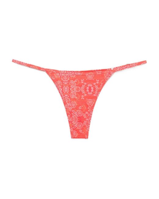 Bragas de bikini Frida con estampado floral de x Kiss 'n Thrill Roberta Einer de color Red