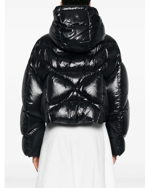 Khrisjoy Black Quilted-Hooded Puffer Jacket