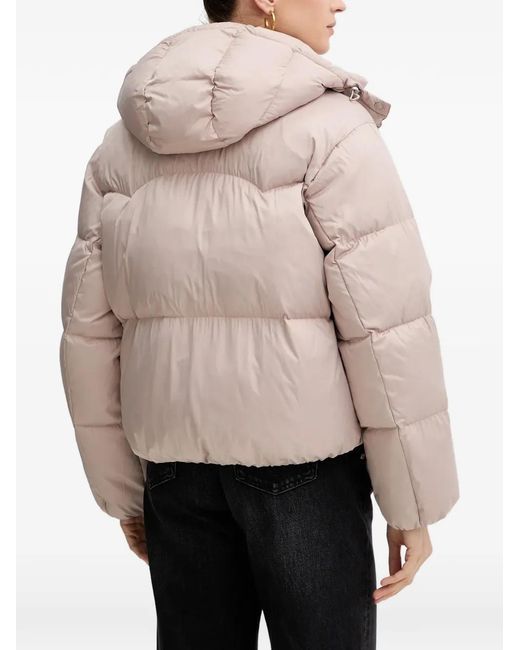 Levi's Natural Doudoune À Capuche