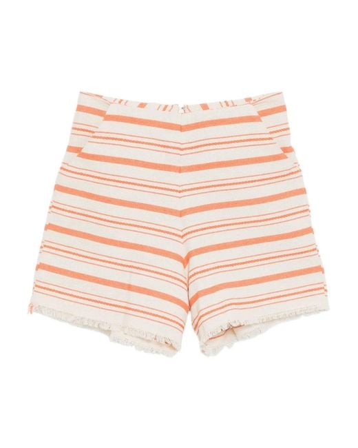 Bambah Women's Pink Alice Shorts