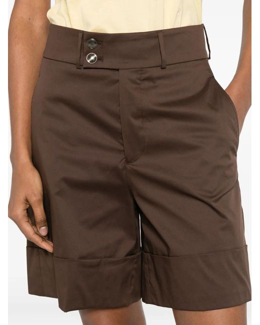 Berwich Brown Nadine Turn-Up Shorts