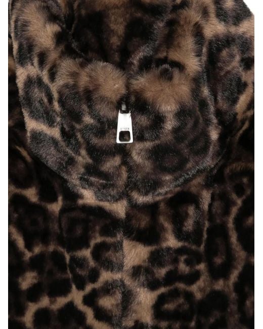 Apparis Black Jamie Leopard Dickey