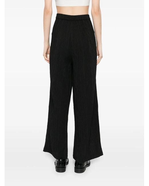 Transit Black Palazzo Trousers