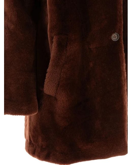B&W Brown Button-Fastening Collar Coat