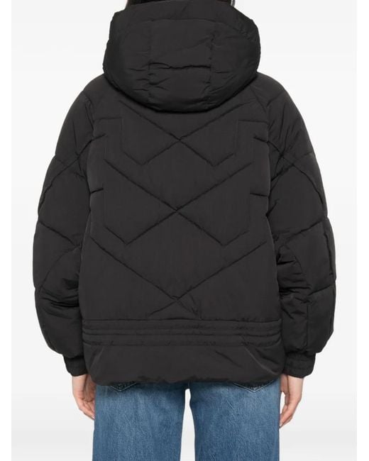 Pinko Black Hooded Puffer Jacket