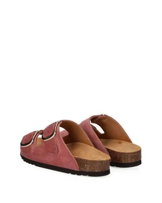 Scholl Brown Noelle Suede Buckle-Fastening Sandals