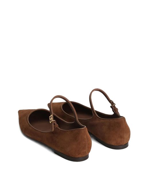 Ballerine A Punta di Dolce & Gabbana in Brown