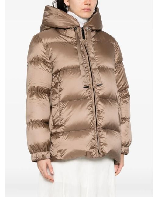 Max Mara Brown Seia Puffer Jacket
