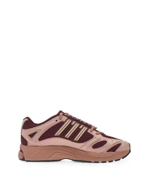 Adidas Brown Adistar Mld Mesh Sneakers