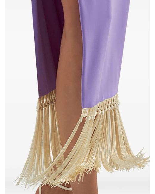 Taller Marmo Purple Lido Fringe-Detail Midi Dress