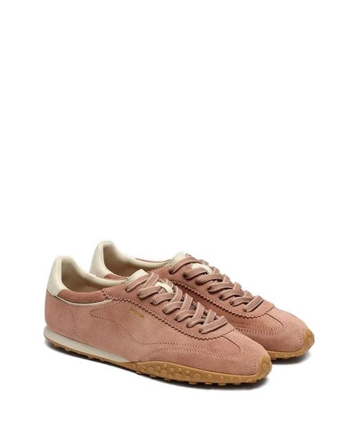 HOFF Brown Bridge Sneakers