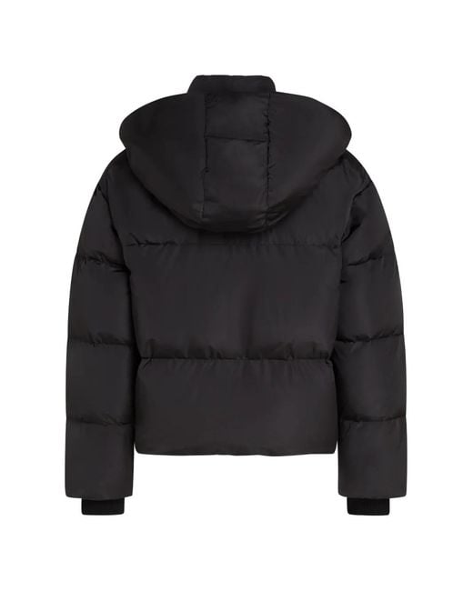 Karl Lagerfeld Black Short Hooded Puffer Jacket