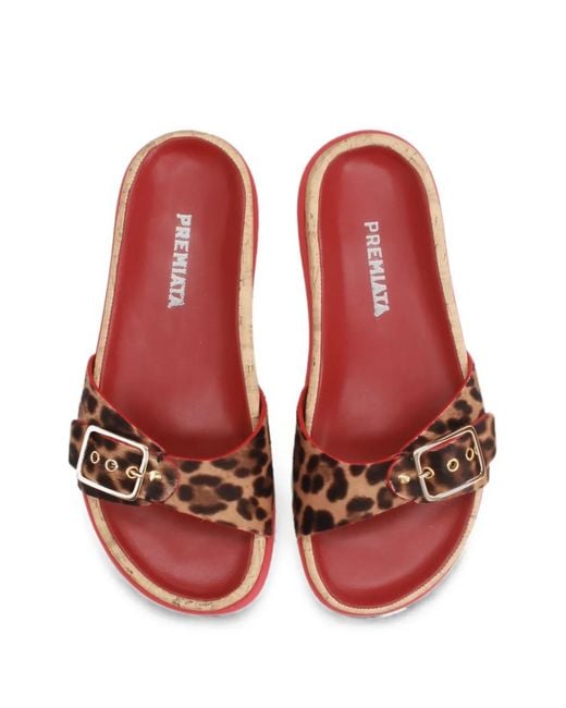 Premiata Red Leopard-Print Buckle-Detail Slides