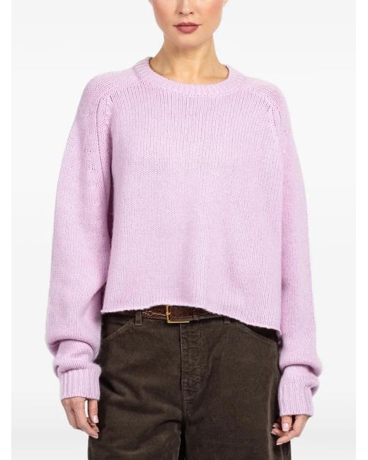 Pull Karine D Lisa Yang en coloris Purple