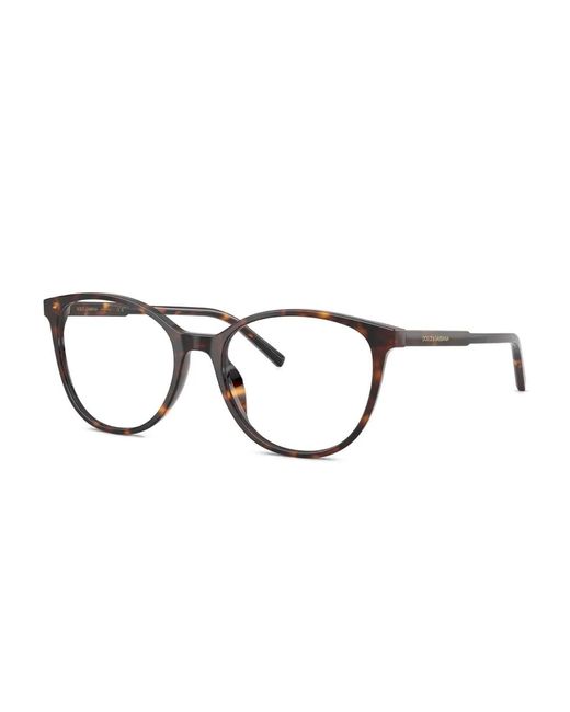 Dolce & Gabbana Brown Tortoiseshell Round-Frames Glasses