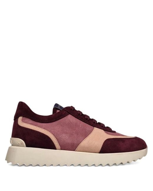 Le Silla Purple Suede Sneakers