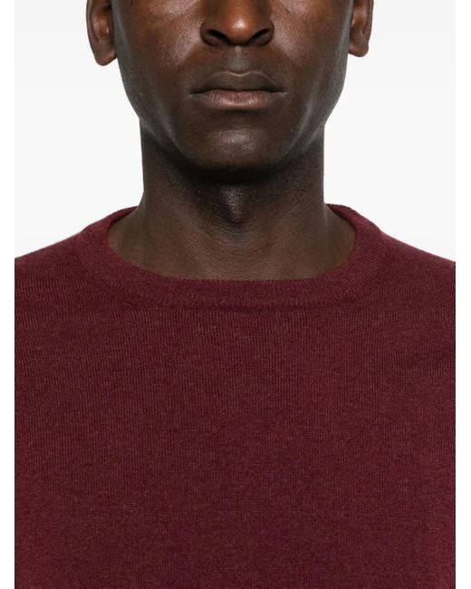Malo Purple Cashmere Crew-Neck Sweater for men