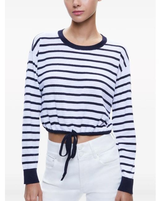 Alice + Olivia Blue Bernetta Striped Top