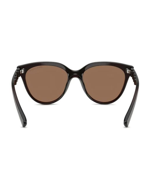 ARMANI EXCHANGE Brown Cat-Eye Sunglasses