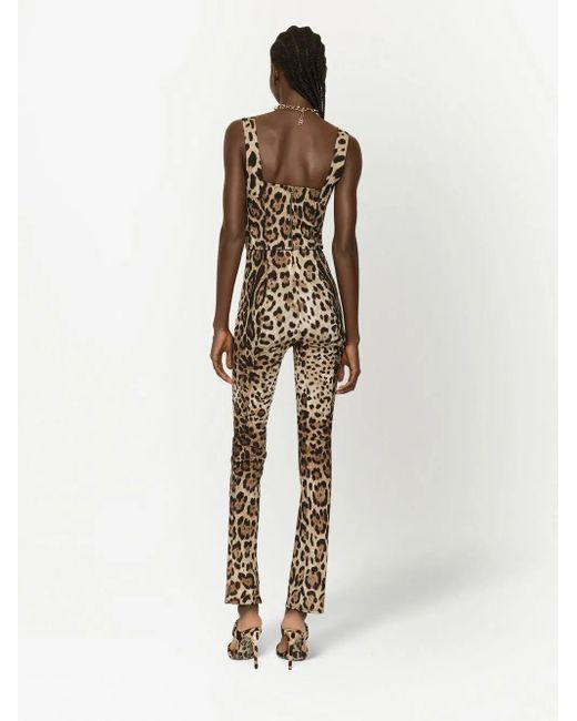 Dolce & Gabbana Brown Top