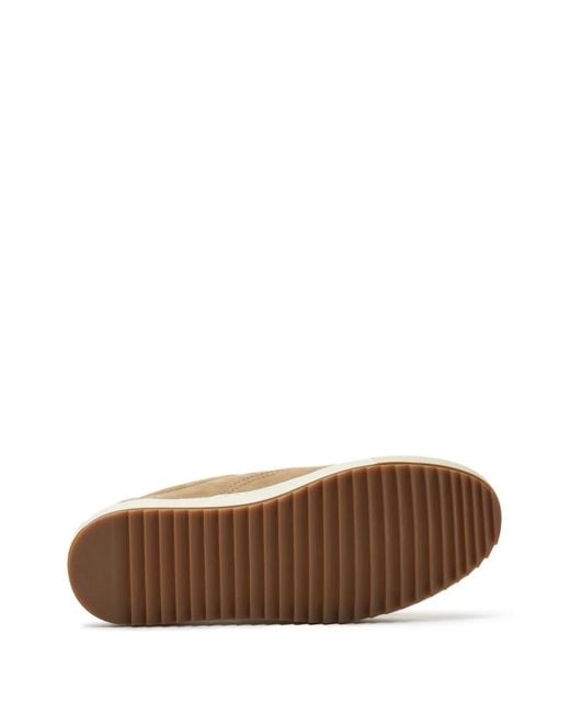 Scarosso Brown Luis Sneakers for men