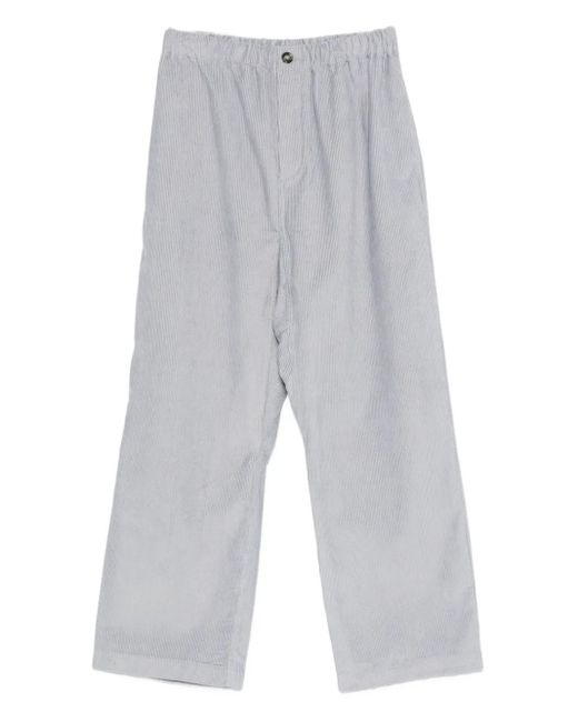 Sofie D'Hoore Gray Pinot Trousers