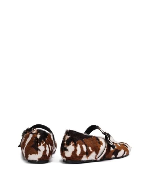 Le Silla Brown Danielle Ballet Flats