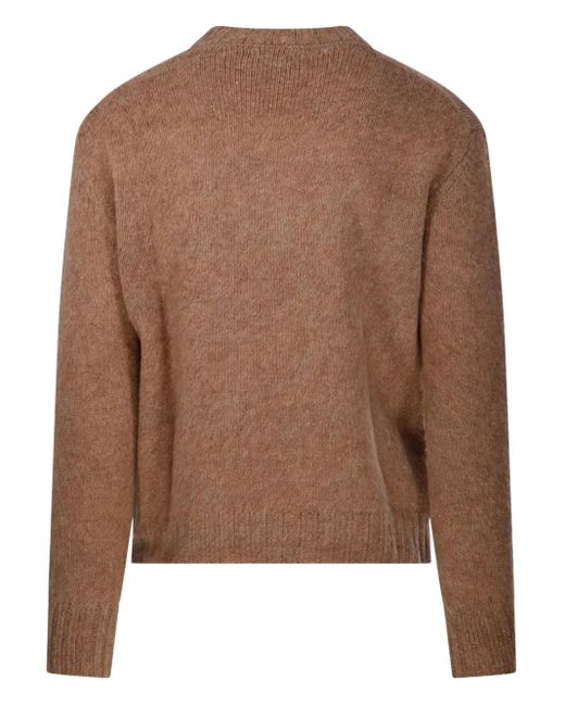 Diana Studio Brown Round-Neck Sweater for men