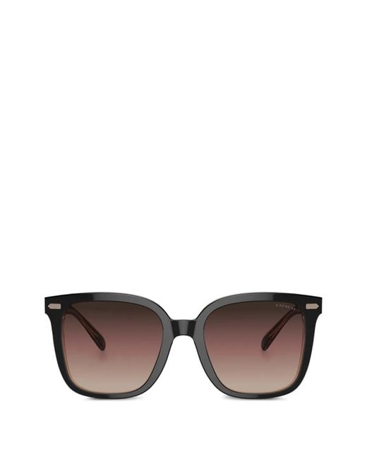 COACH Brown Square-Frame Sunglasses