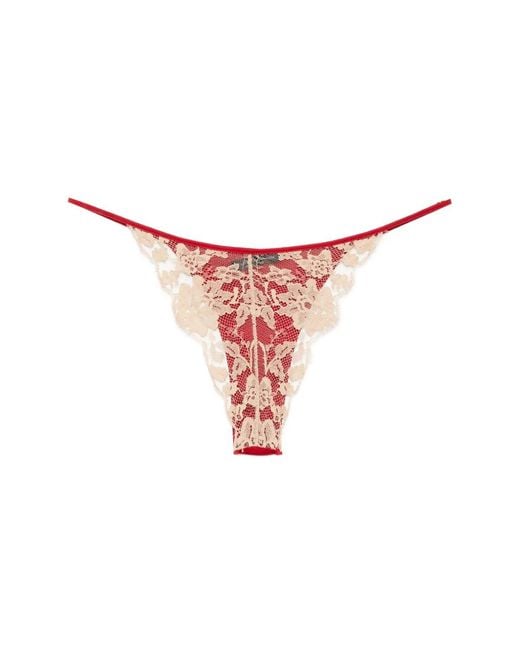 Bragas Orchid Kiki de Montparnasse de color White