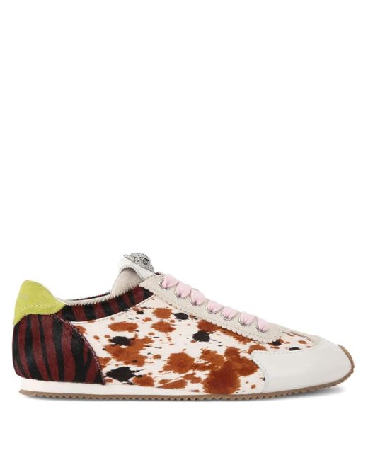 Kurt Geiger Brown Islington Sneakers