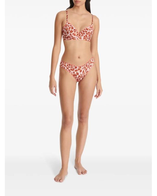 Eres Pink Solitaire Tanga