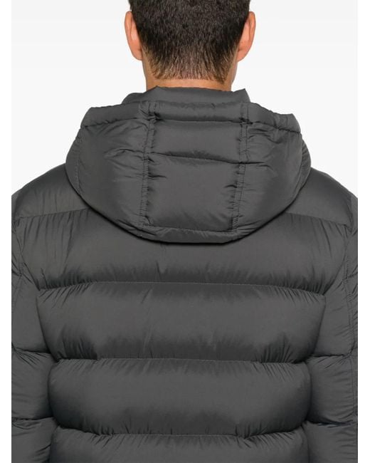 Herno Donsjack in het Gray voor heren