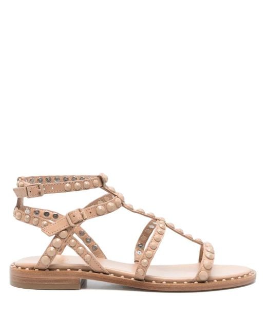 Ash Pink Precious Flat Sandals