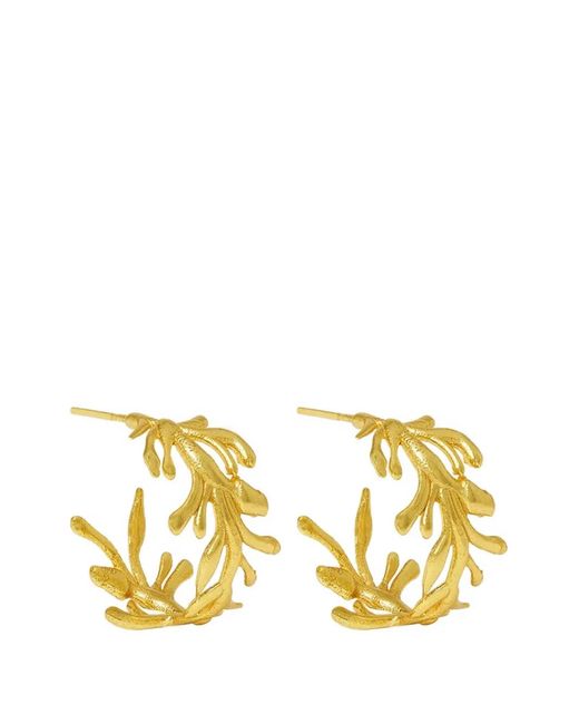 Ottoman Hands Metallic Zephyr Coral Hoop Earrings